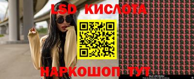 шишки Заволжье