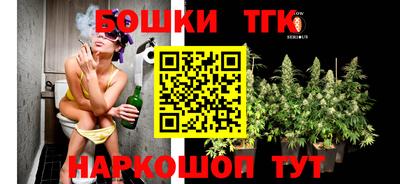 шишки Заволжье