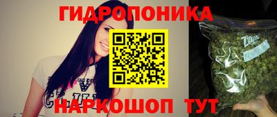 шишки Заволжье