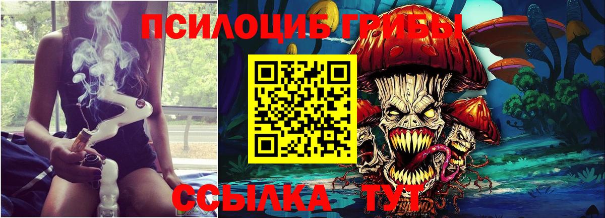 Псилоцибиновые грибы MAGIC MUSHROOMS  Псилоцибиновые грибы GOLDEN TEACHER  Лысьва  хочу   Вход с VPN 